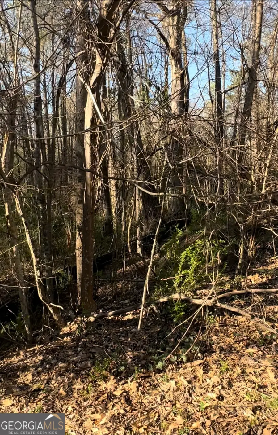 2084 Jadestone Court, Jonesboro, GA 30236 - Image #3