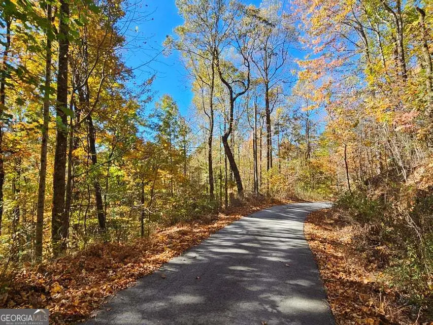 0 Confederate Drive, Clayton, GA 30525 - #1