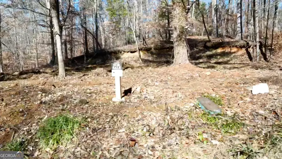 6137 (LOT #3) Little Ridge Road #LOT 3, Acworth, GA 30102 - Image #3