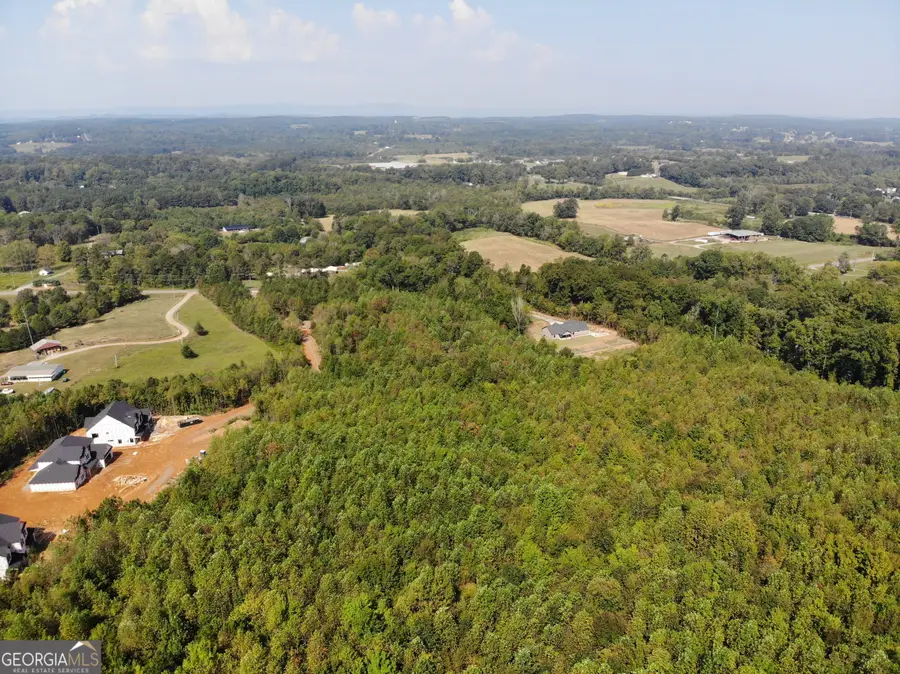 0 Alabama Highway #TRACT 3, Rock Spring, GA 30739 - Image #3