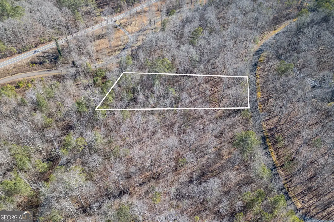 LOT 50 Tranquility At Carters Lake, Ellijay, GA 30540 - #1