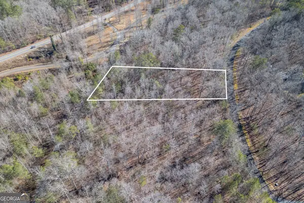 LOT 50 Tranquility At Carters Lake, Ellijay, GA 30540