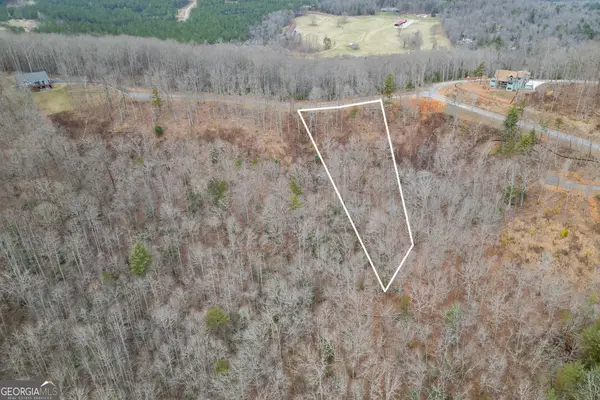 LOT 133 Blackburn Way, Blairsville, GA 30512