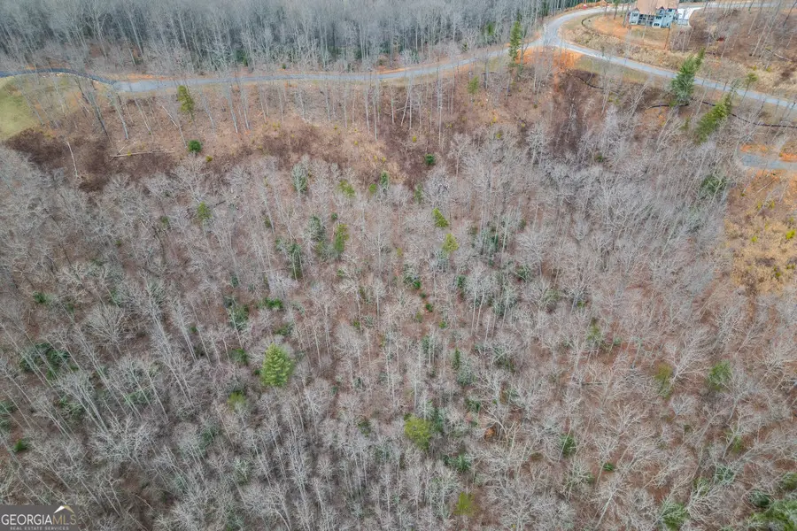 LOT 133 Blackburn Way, Blairsville, GA 30512 - Image #2