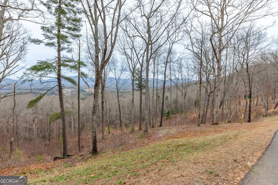 LOT 133 Blackburn Way, Blairsville, GA 30512 - Image #3