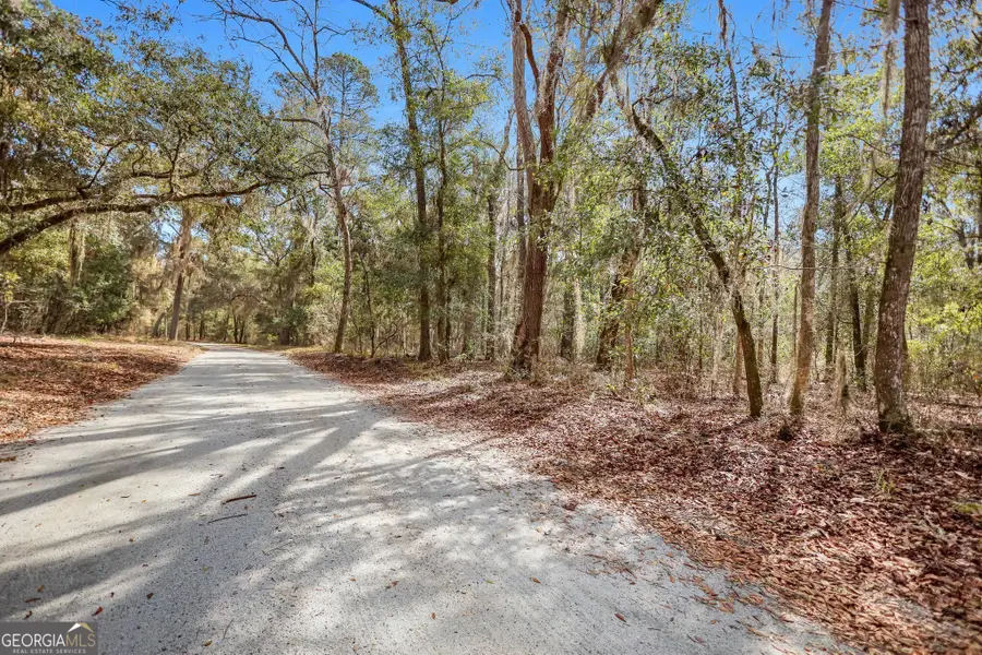 0 Drizzle Bluff Road, Woodbine, GA 31569 - Image #2