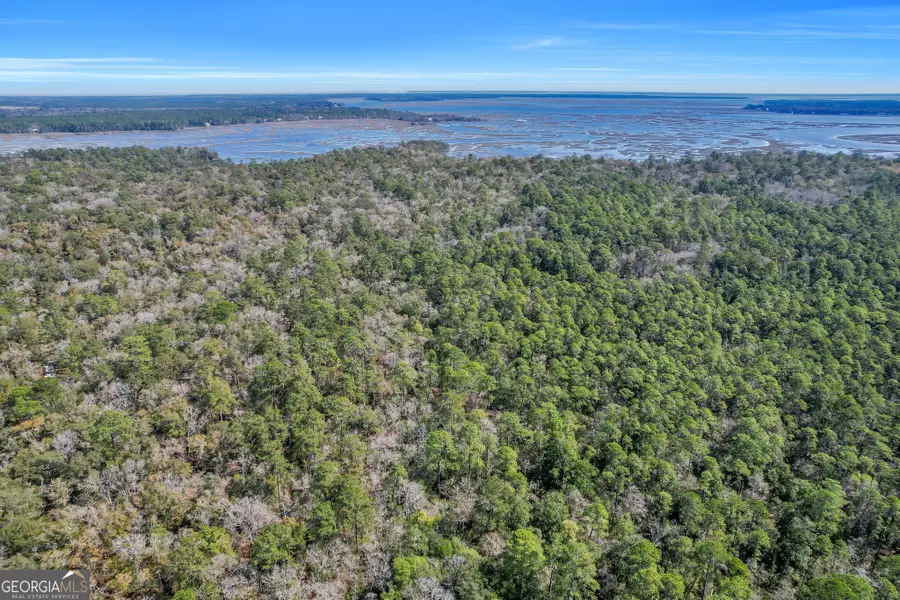 0 Drizzle Bluff Road, Woodbine, GA 31569 - Image #3
