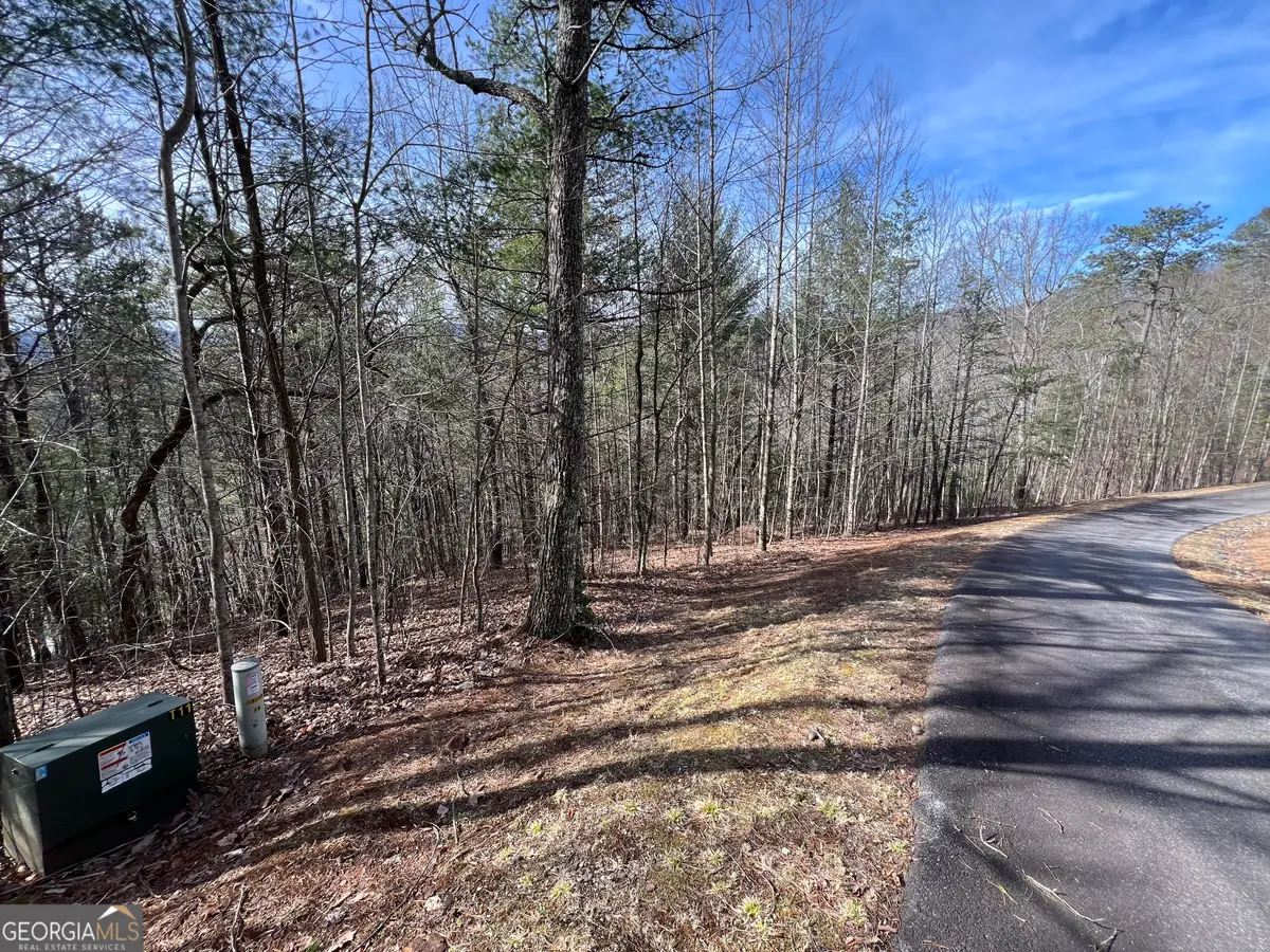02.17AC LOT 11 Choestoe Trail, Blairsville, GA 30512 - #1