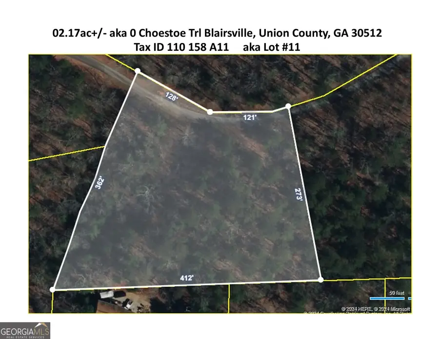02.17AC LOT 11 Choestoe Trail, Blairsville, GA 30512 - #3