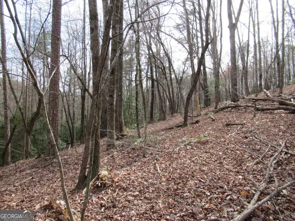 0 Long Branch Road, Dahlonega, GA 30533