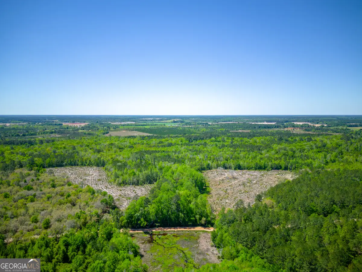 0 Ward Boyette Road, Bristol, GA 31518 - Image #1