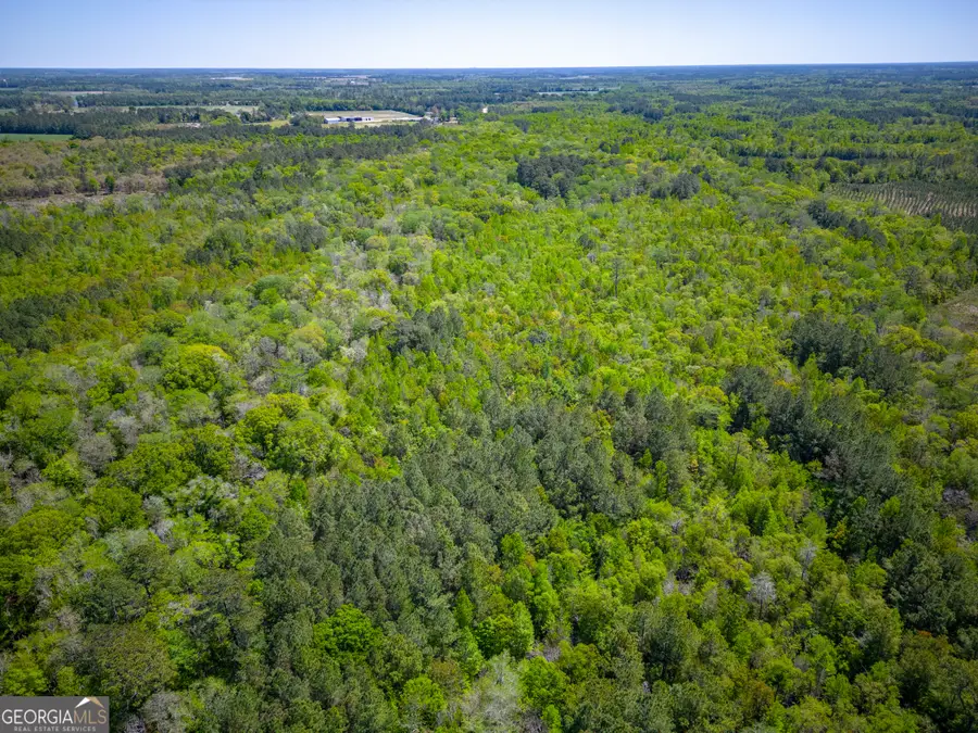 0 Ward Boyette Road, Bristol, GA 31518 - Image #2