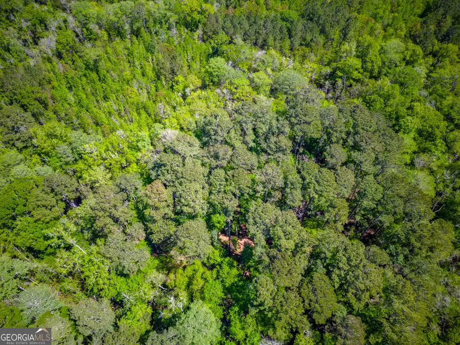 0 Ward Boyette Road, Bristol, GA 31518 - Image #3