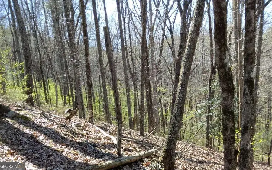 M99 Sleepy Hollow Road #M99, Ellijay, GA 30536 - Image #3