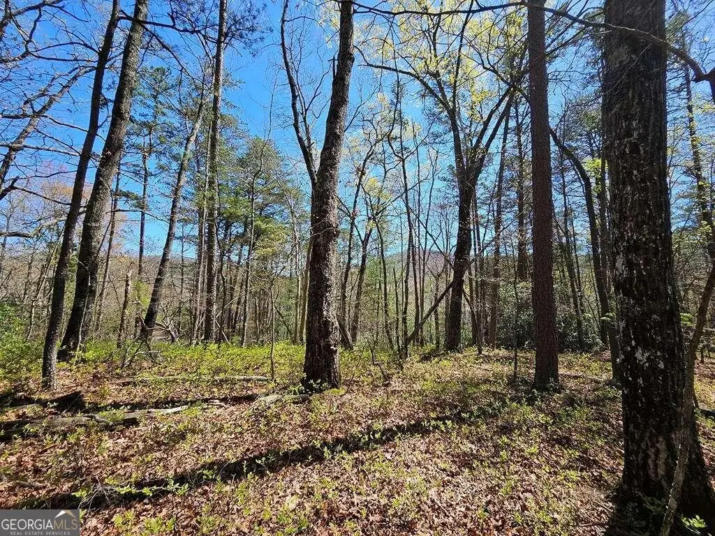 5.20 Deer Crest Road, Blue Ridge, GA 30513 - Image #1