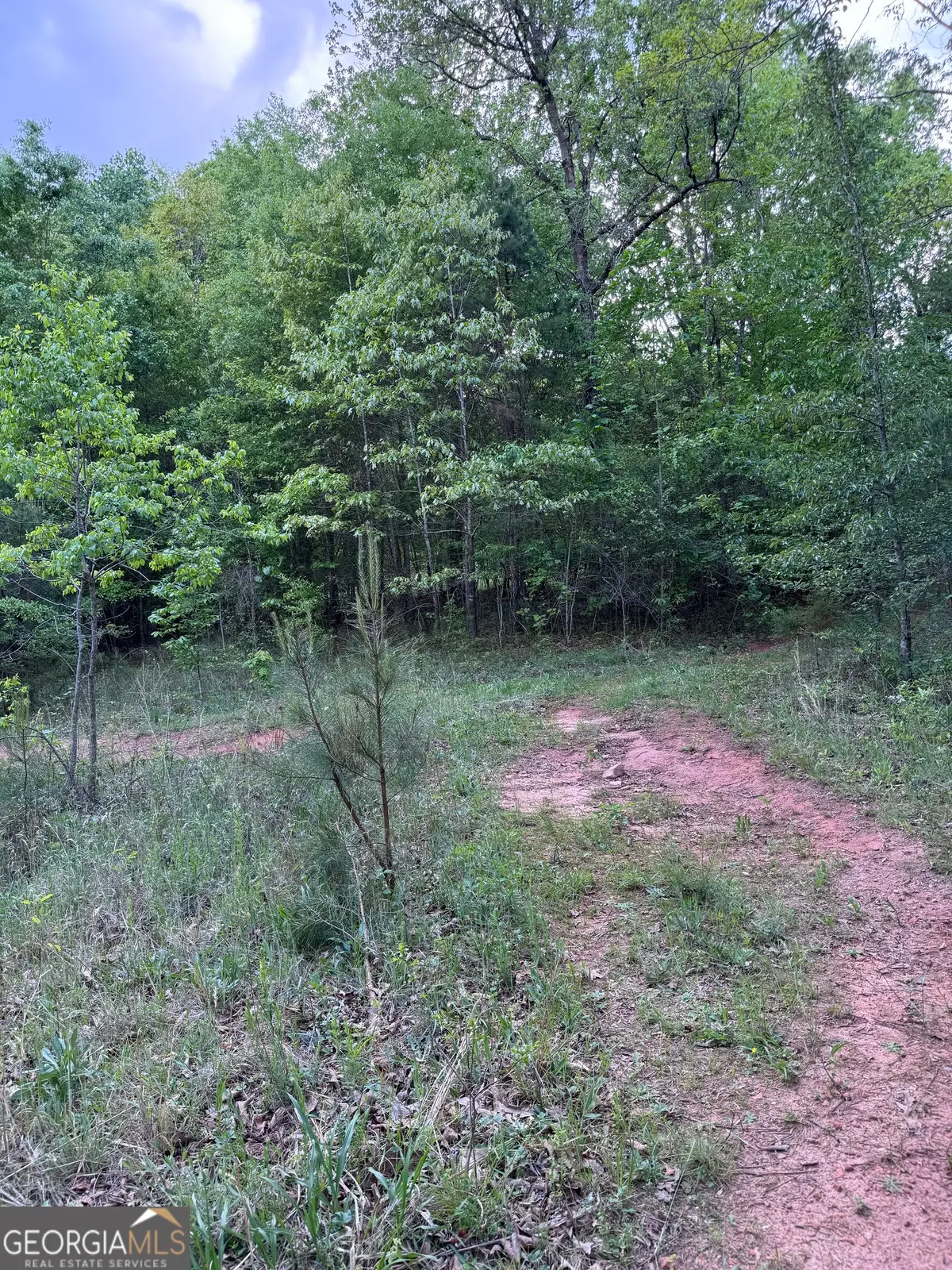 668 Brookdale Road, Toccoa, GA 30577 - Image #1