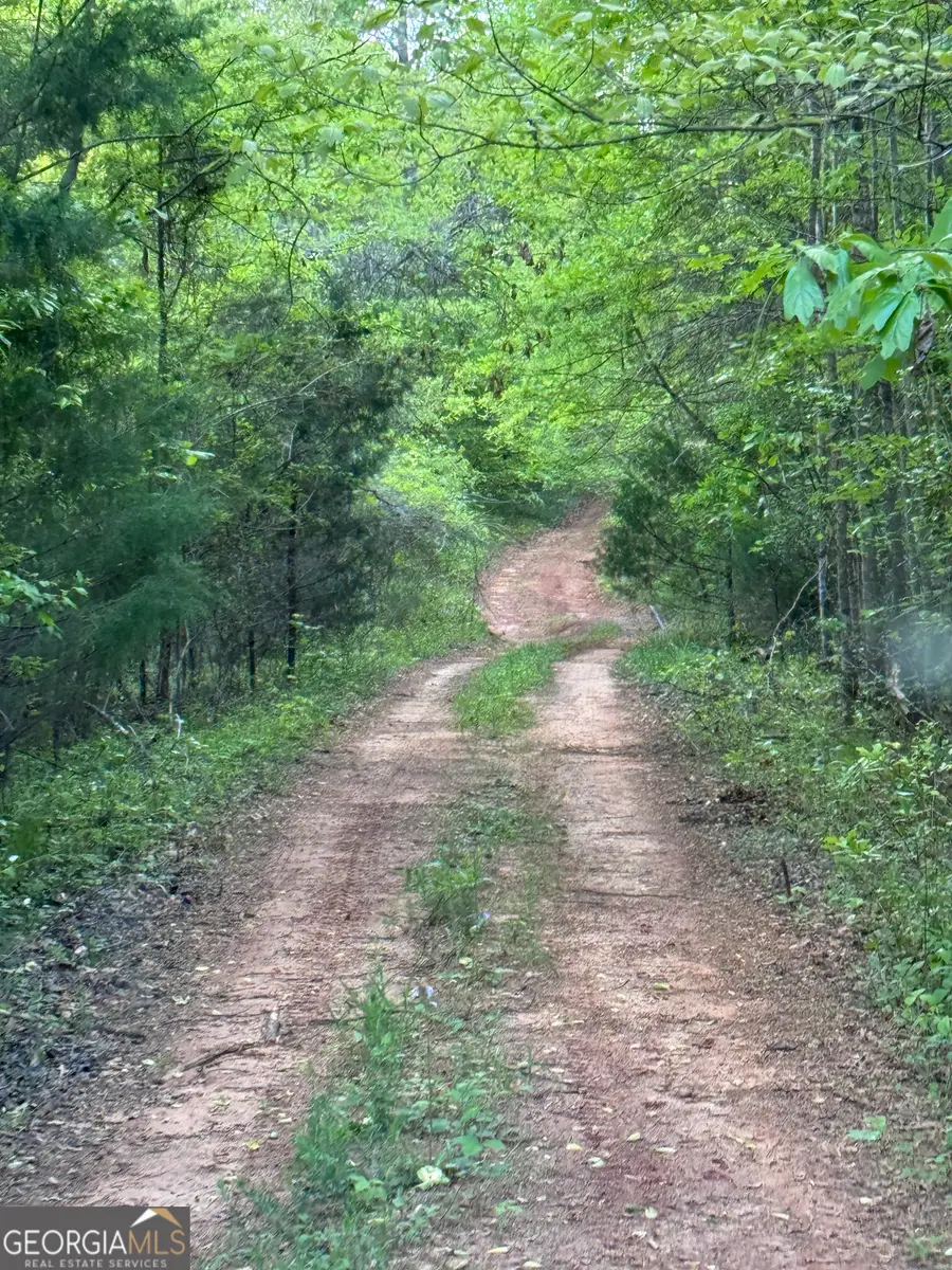 668 Brookdale Road, Toccoa, GA 30577 - Image #2