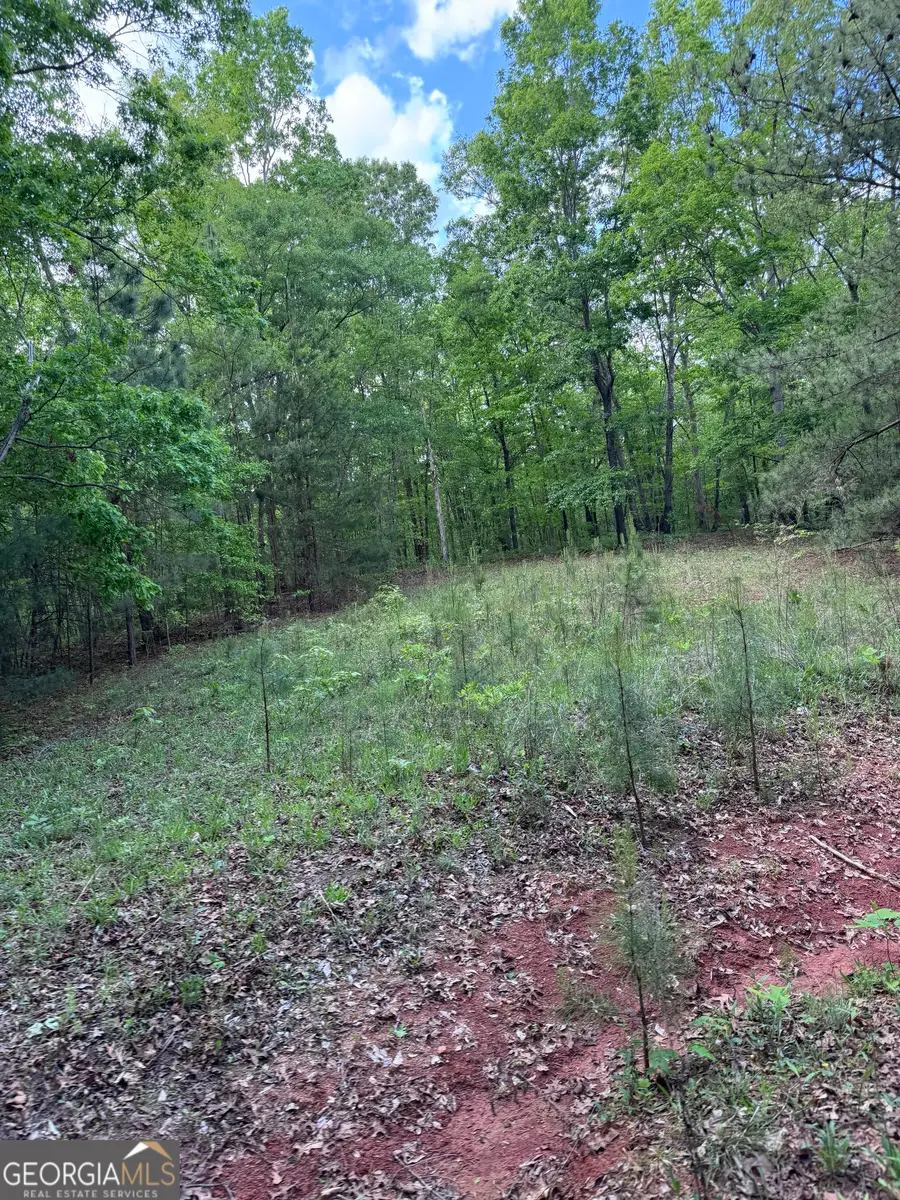 668 Brookdale Road, Toccoa, GA 30577 - Image #3