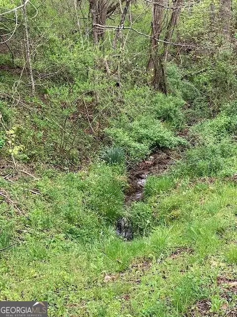 LT 10 High Meadows, Hayesville, NC 28904 - Image #3