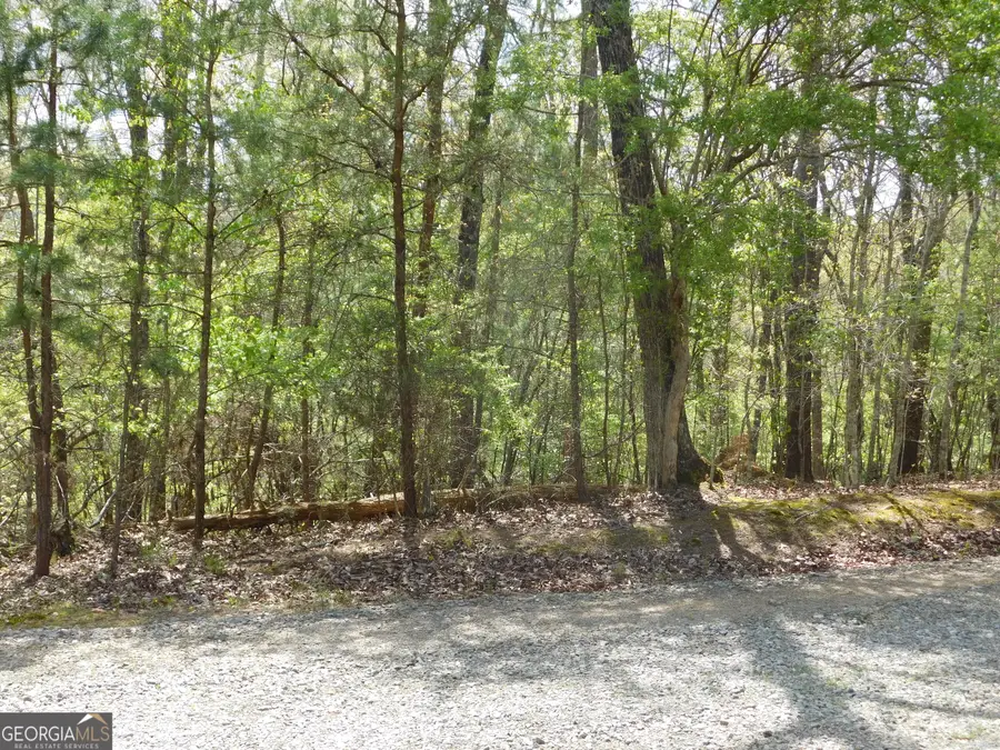 0 Dallas Lane, Blue Ridge, GA 30513 - Image #2