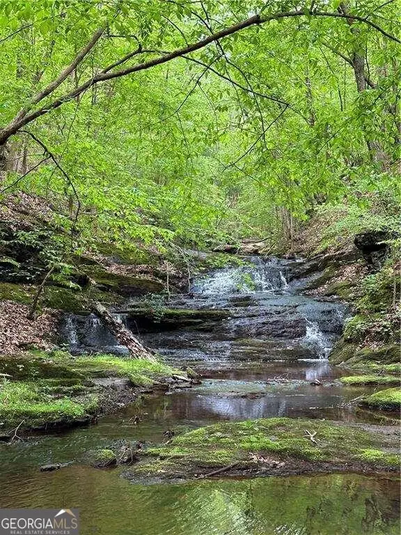 0 Paris Mountain Road, Rockmart, GA 30153 - Image #2