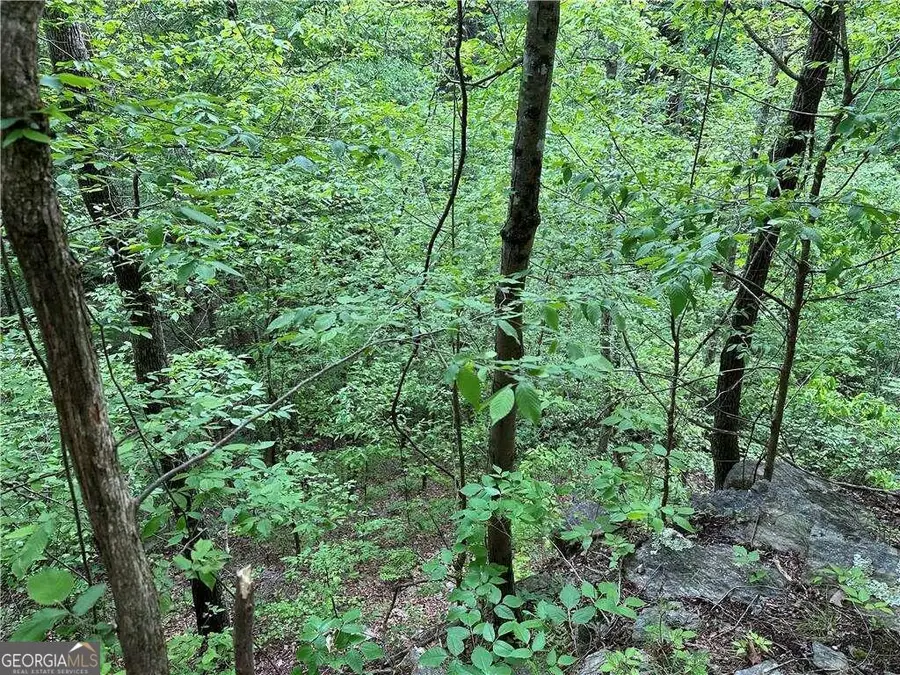 0 Paris Mountain Road, Rockmart, GA 30153 - Image #3