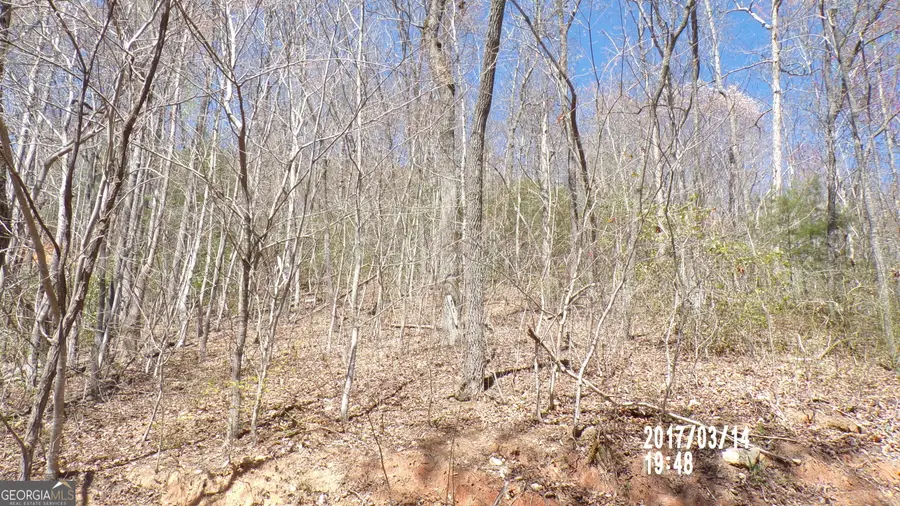 #3 Strawberry Fields, Hayesville, NC 28904 - Image #2