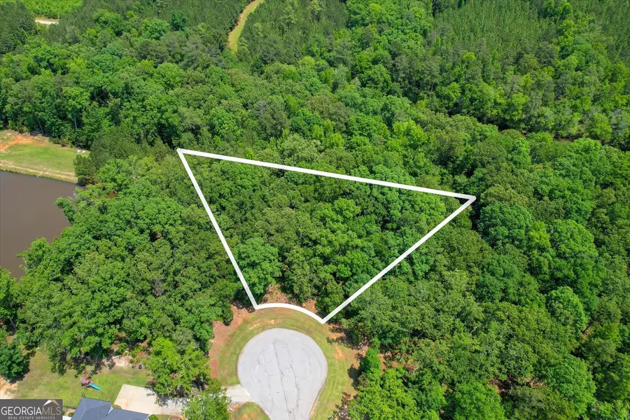 1164 Sally Ann Court, Lincolnton, GA 30817 - Image #3