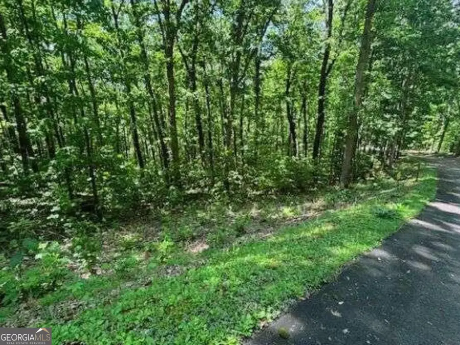 LOT 90 Rocky Knob, Young Harris, GA 30582 - Image #2