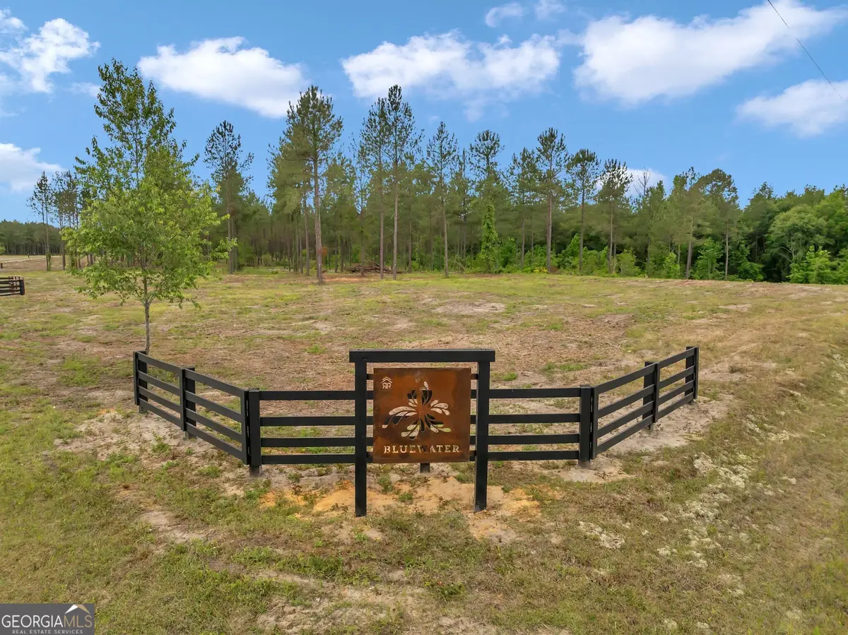 0 Dewey Thomas Road #LOT 2, Dexter, GA 31019 - Image #1