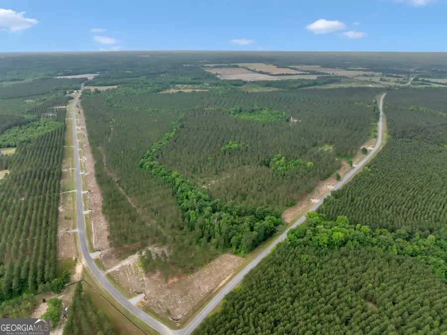 0 Dewey Thomas Road #LOT 3, Dexter, GA 31019 - Image #2