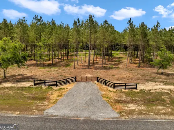 0 Dewey Thomas Road #LOT 4, Dexter, GA 31019