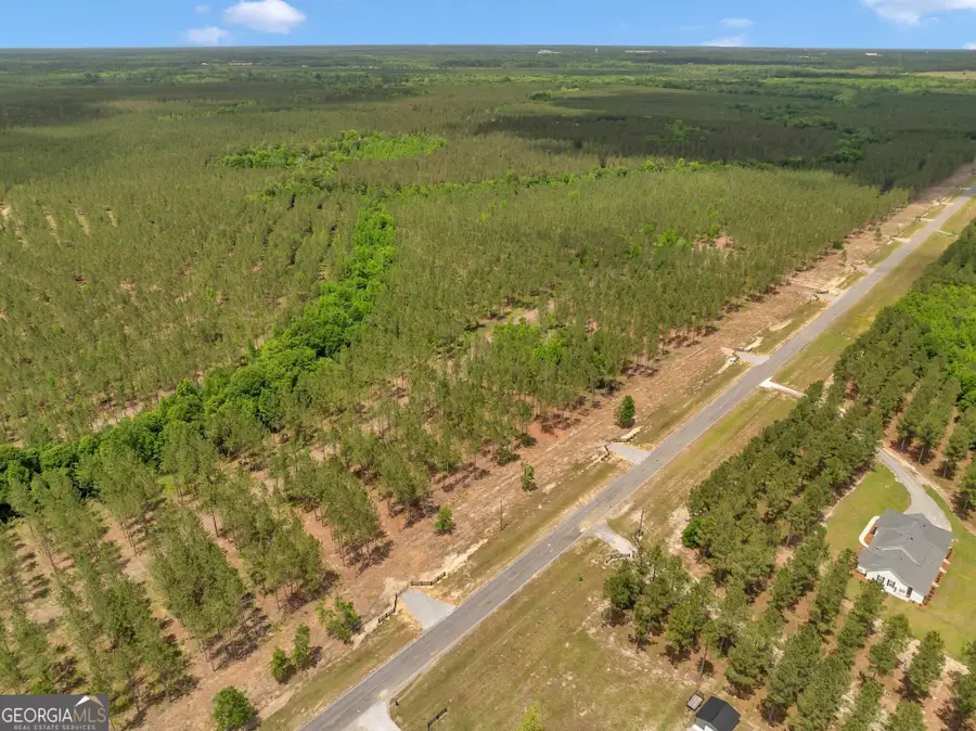 0 Dewey Thomas Road #LOT 6, Dexter, GA 31019 - Image #3