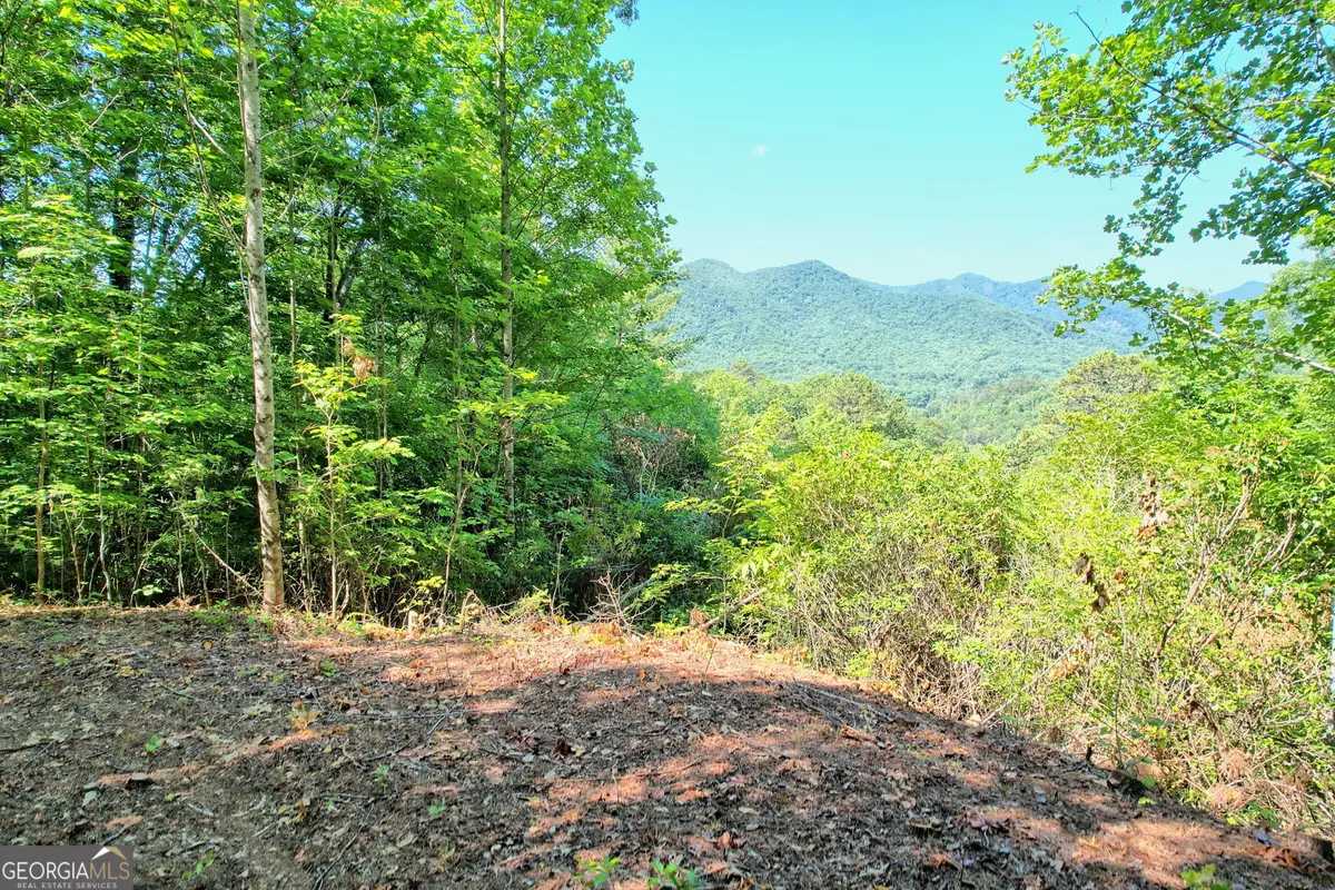 0 Raven Fork Trail, Dillard, GA 30537 - Image #1