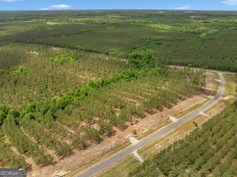 0 Dewey Thomas Road #LOT 12, Dexter, GA 31019 - Image #2