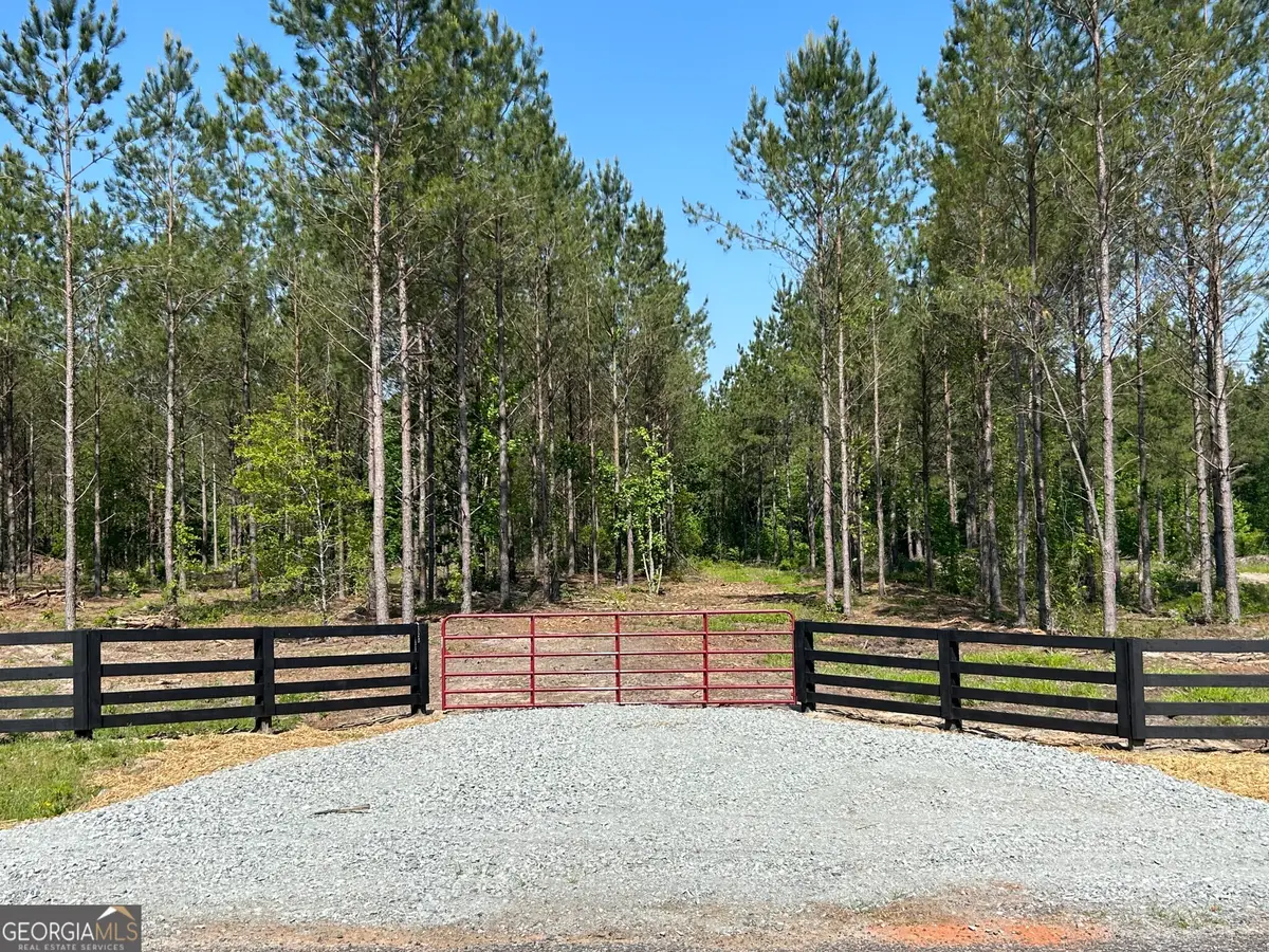 0 Dewey Thomas Road #LOT 14, Dexter, GA 31019 - Image #1