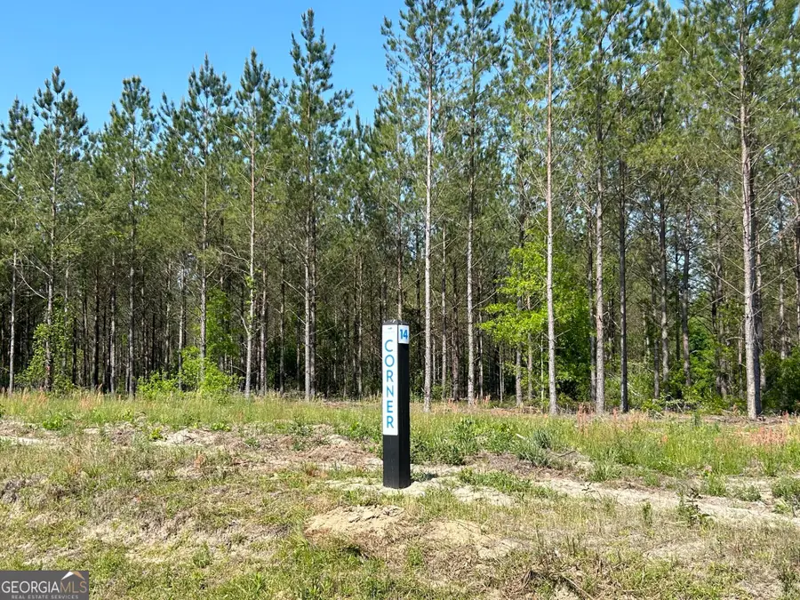 0 Dewey Thomas Road #LOT 14, Dexter, GA 31019 - Image #3