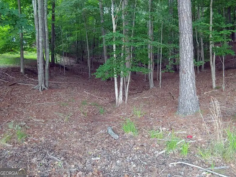 149 Dogwood Court, Waleska, GA 30183 - #2