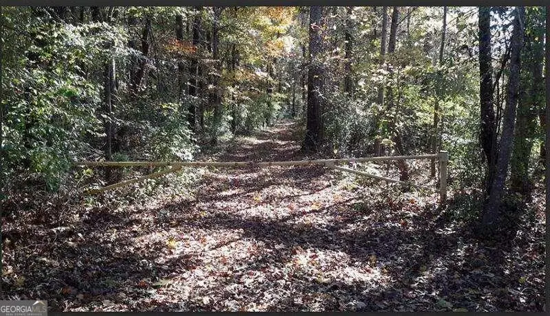 1047 Ponder Trammell Road, Juliette, GA 31046 - #2