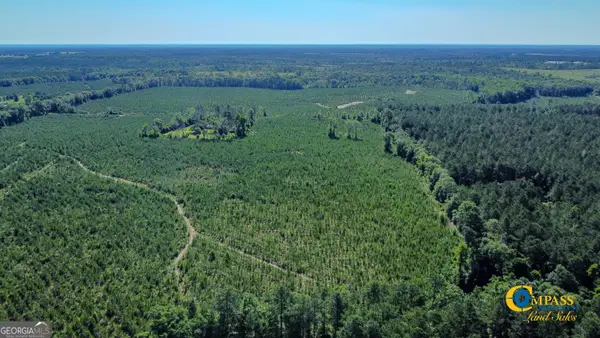 0 Marvis Chapman Road, Ideal, GA 31041