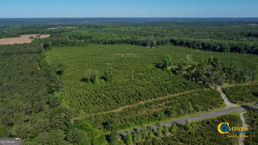 0 Marvis Chapman Road, Ideal, GA 31041 - Image #2