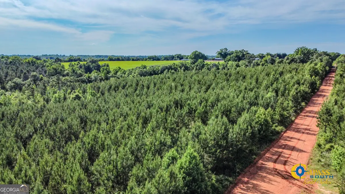 0 Welch Road, Buena Vista, GA 31803 - Image #1