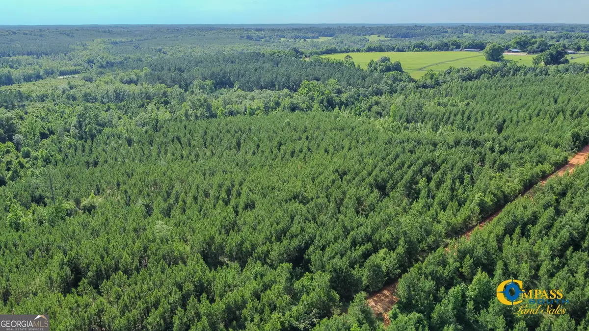 0 Welch Road, Buena Vista, GA 31803 - Image #1