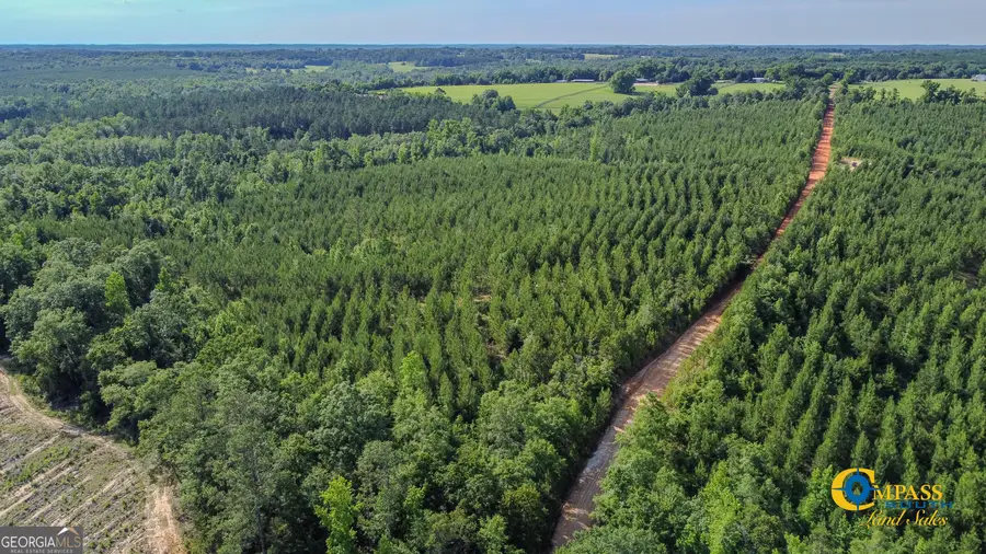 0 Welch Road, Buena Vista, GA 31803 - Image #2