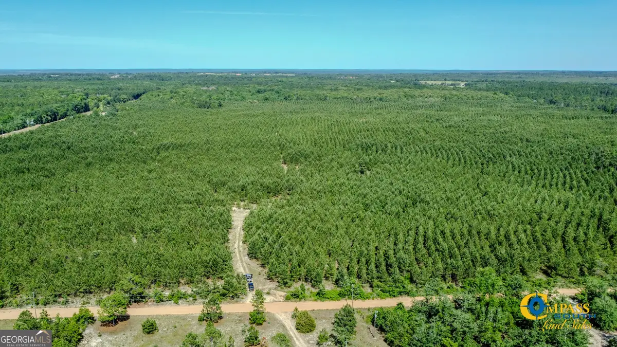 0 Montgomery Road, Mauk, GA 31058 - Image #1