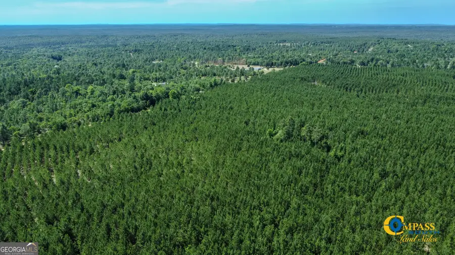 0 Montgomery Road, Mauk, GA 31058 - Image #2