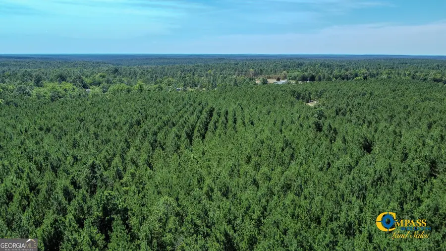 0 Montgomery Road, Mauk, GA 31058 - Image #3