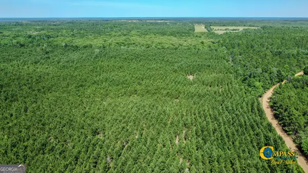 0 Miller Road W, Mauk, GA 31058