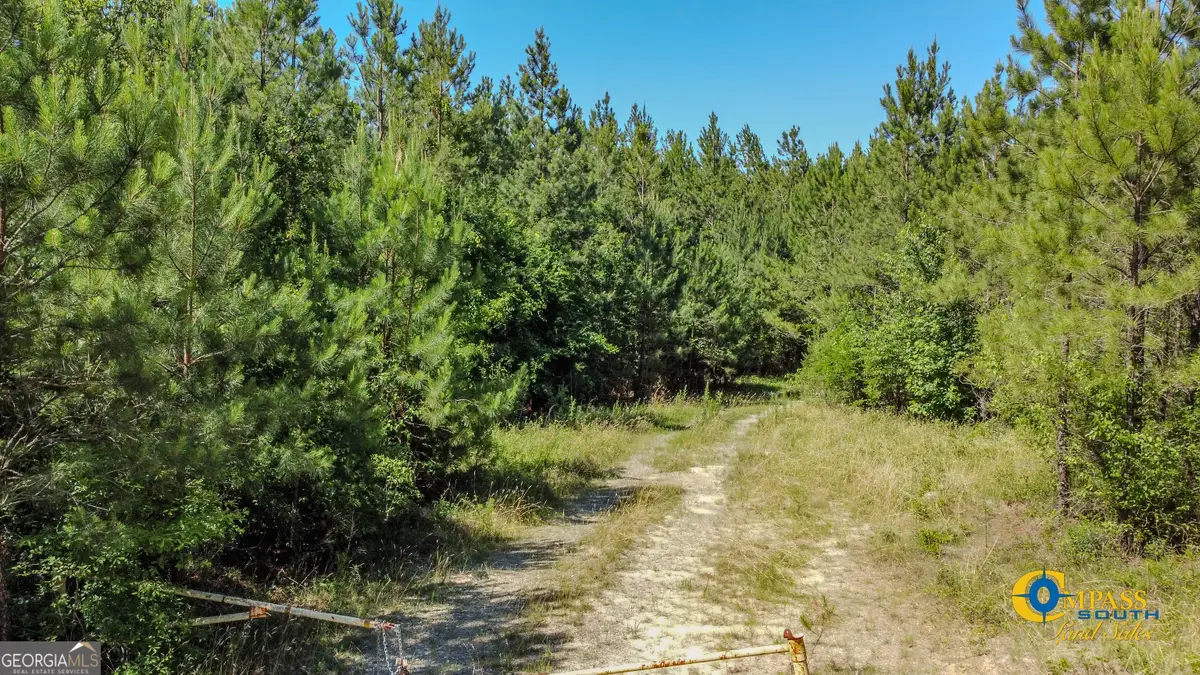 0 Allmon Road, Butler, GA 31006 - Image #1