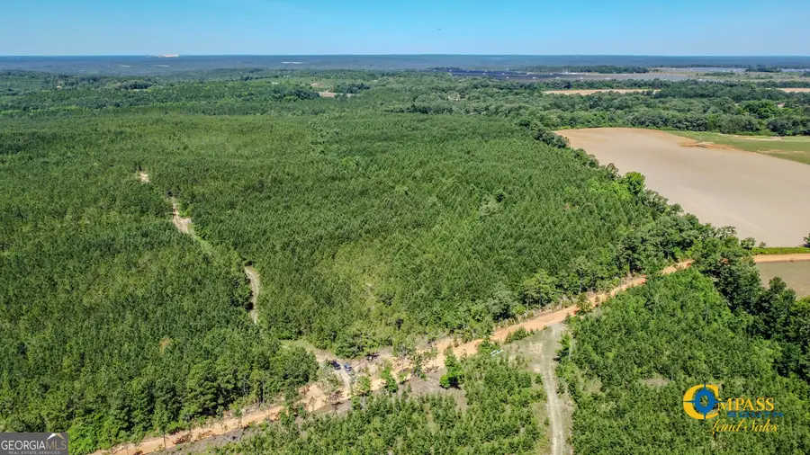 0 Allmon Road, Butler, GA 31006 - Image #3